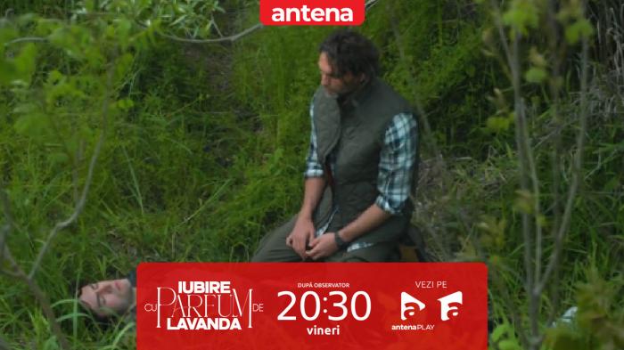 Iubire cu parfum de lavandă | Sezonul 3 | Episodul 38, 5 decembrie 2025. Traian &icirc;l găsește inconșient &icirc;n pădure pe Andrei: Nu-mi amintesc cum am ajuns acolo!