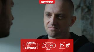 Iubire cu parfum de lavandă | Sezonul 3 | Episodul 47, 26 decembrie 2025. Albert vrea să o ucidă și pe Chanela: Tu o omori! Nu vreau să spună nimic nimănui