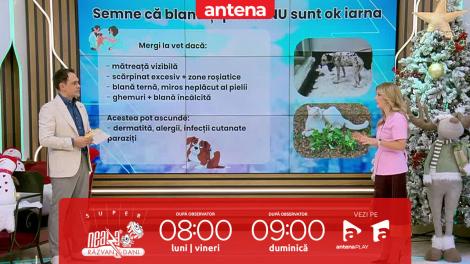 Super Neatza, 6 ianuarie 2026. Cum ne &icirc;ngrijim animalele de companie c&acirc;nd este foarte frig afară