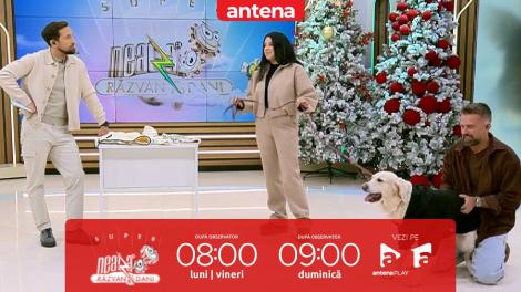 Super Neatza, 12 ianuarie 2026. Pericolele iernii pentru animale și cum pot fi evitate