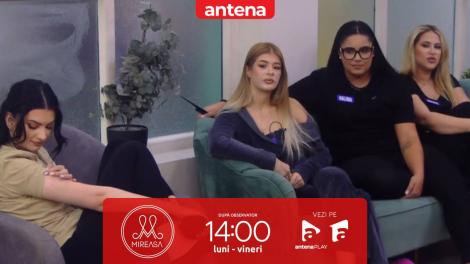 Mireasa sezonul 12, 19 ianuarie 2026. Discuții sincere &icirc;ntre fete! Ce băieți le-au atras atenția