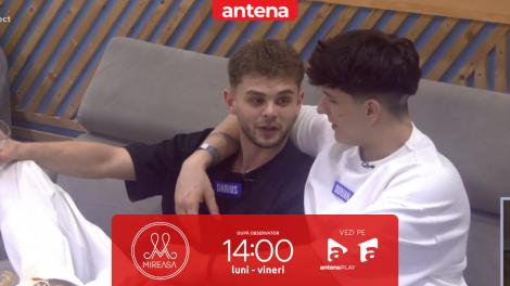 Mireasa sezonul 13, 2 februarie 2026. Reacțiile băieților după ce Darius a oprit cunoașterea cu Daniela