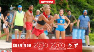 Survivor Rom&acirc;nia, 6 februarie 2026. A &icirc;nceput jocul pentru recompensă! Războinicii conduc cu 5-3 la jumătatea &icirc;ntrecerii!