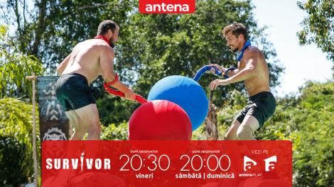 Survivor Rom&acirc;nia, 22 februarie 2026. Cel mai echilibrat joc de recompensă de p&acirc;nă acum! Războinicii și Faimoșii sunt la egalitate: 7-7!
