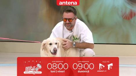 Super Neatza, 23 februarie 2026. Cum știm ce c&acirc;ine e potrivit pentru stilul nostru de viață