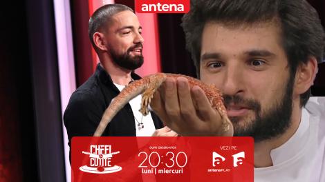 Chefi la cuțite | Sezonul 17. Ovidiu Cristian Osan are un mare vis: Vreau să am un parc zoologic!