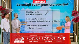 Super Neatza, 17 martie 2026. Cum ne protejăm animalele de companie în sezonul căpușelor