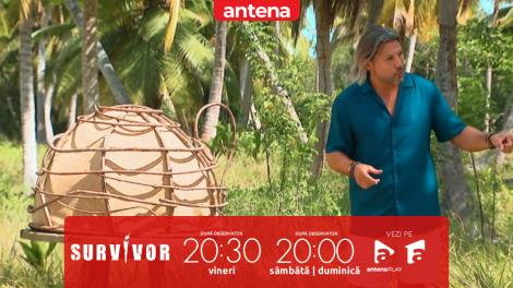 Survivor Rom&acirc;nia 2026. Miza jocului de recompensă! Adi Vasile: C&acirc;știgătorii vor primi un mesaj audio de la cei dragi!