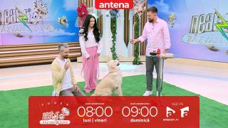 Super Neatza, 23 martie 2026. Secretele câinilor fericiți. Exerciții care mențin energia patrupedului tău