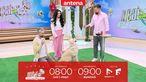 Super Neatza, 23 martie 2026. Secretele c&acirc;inilor fericiți. Exerciții care mențin energia patrupedului tău