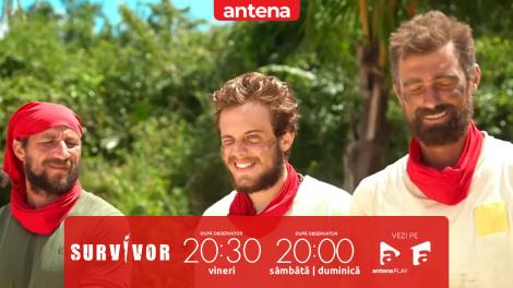 Survivor Rom&acirc;nia 2026. Faimoșii, cu cărțile pe față după jocul de imunitate! Aris Eram: &bdquo;Au fost mai buni, nu avem scuze!&rdquo;