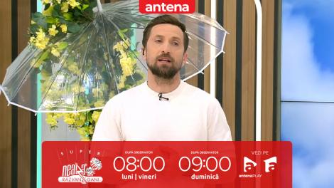 Super Neatza. Sfaturi de la specialişti pentru plimbări plăcute alături de căţelul nostru