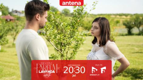 Destine cu parfum de lavandă | Episodul 2. Ioana i-a reproșat lui Filip că i-a spus Almei că &icirc;ncă &icirc;l mai iubește pe Rocky