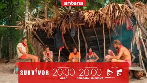 Survivor Rom&acirc;nia 2026. Faimoșii au analizat erorile de la jocul de recompensă! Ce strategie vor să adopte &icirc;n viitor