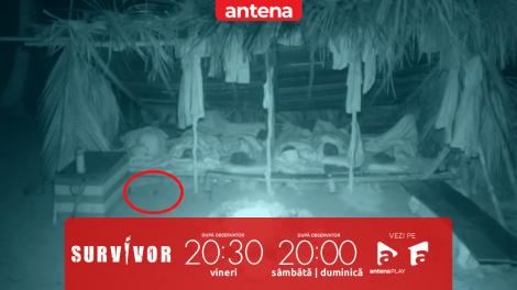 Survivor Rom&acirc;nia 2026. Faimoșii au avut parte de un vizitator surpriză: Acum face parte din familie!