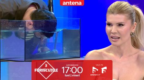 Furnicuțele 2026. Provocarea &bdquo;R&acirc;dem, glumim...&rdquo;, cu Diana Matei. Oase c&acirc;ntă sub apă!