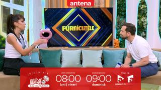 Super Neatza. Provocarea „Am/N-am” cu Denise Rifai: Dezvăluiri picante și momente amuzante