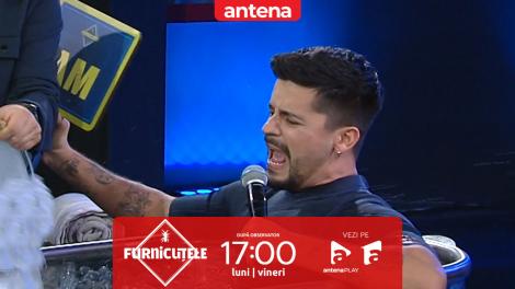 &bdquo;Denise, mi-e frică!&rdquo; Nu rata următorul episod Furnicuțele, de la 17:00, pe Antena 1 și &icirc;n AntenaPLAY