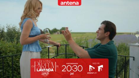 Destine cu parfum de lavandă | Episodul 6. Andrei o cere &icirc;n căsătorie pe Teodora!