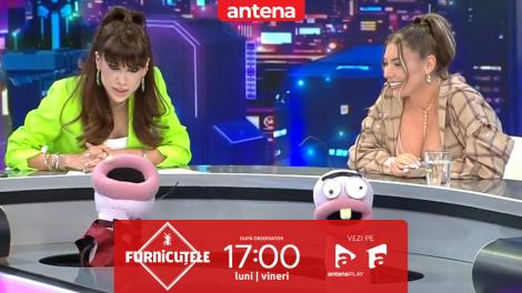 Furnicuțele 2026. JO, detalii despre statusul ei relațional: &bdquo;Sunt singură!&rdquo;. Ce spune despre Radu Ciucă