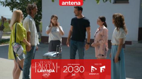 Destine cu parfum de lavandă | Episodul 9. Ștefan decide să plece &icirc;n Anglia pentru postul de antrenor