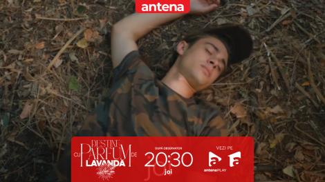 Cristi a dispărut! Nu rata următorul episod "Destine cu parfum de lavandă", de la 20:30, pe Antena 1 și &icirc;n AntenaPLAY