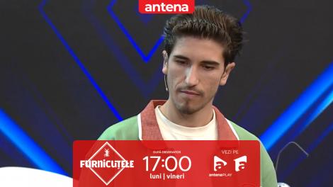 Furnicuțele 2026. Competiție tensionată! Cine c&acirc;știgă confruntarea de la Testul Mușuroiului