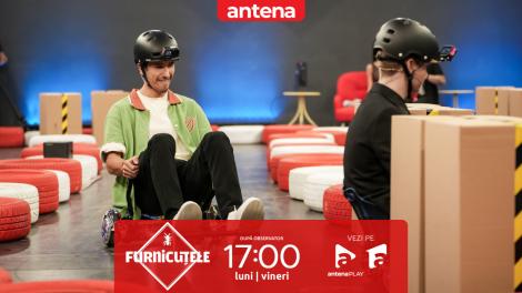 Furnicuțele 2026. Duel &icirc;ntre frați! Sebastian Dobrincu și David, cursă pe circuit improvizat