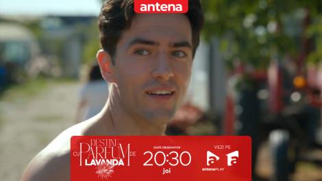 Destine cu parfum de lavandă | Episodul 10. Dor și emoții puternice! Andrei abia aștepta revenirea Teodorei