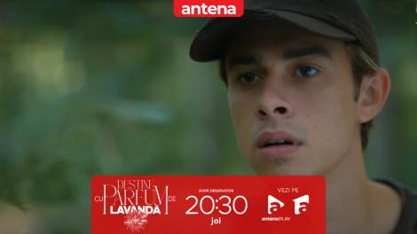 Destine cu parfum de lavandă | Episodul 10. Alertă totală! Dispariția lui Cristi pune satul pe jar
