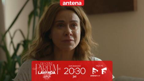 Destine cu parfum de lavandă | Episodul 11. Andrei &icirc;l amenință pe Zamfir: Dă-i drumul lui Cristi sau o să &icirc;nfunzi pușcăria!