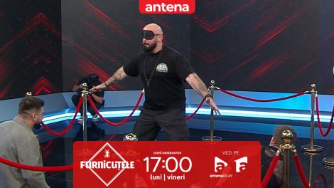 &rdquo;O să plătească scump!&rdquo;. Nu rata următorul episod Furnicuțele, de la 17:00, pe Antena 1 și &icirc;n AntenaPLAY