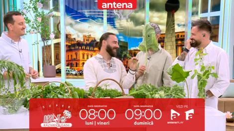 Super Neatza. De ce și cum putem să folosim plantele de sezon
