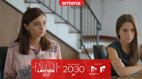 Destine cu parfum de lavandă | Episodul 14. Ștefan a decis să doneze partea lui de casă Almei și Mariei