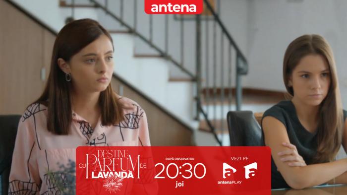 Destine cu parfum de lavandă | Episodul 14. Ștefan a decis să doneze partea lui de casă Almei și Mariei