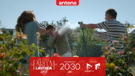 Destine cu parfum de lavandă | Episodul 13. Dinu a primit ordin de restricție după ce l-a lovit pe Mircea