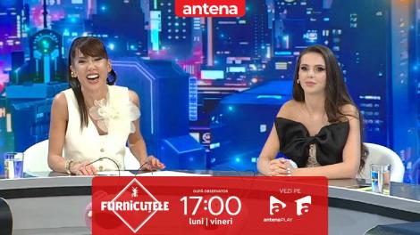 Furnicuțele 2026. Georgiana Lobonț, drumul de la folclor la succesul &icirc;n muzica de petrecere