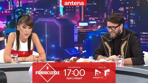 Furnicuțele 2026. Marian Capet, hairstylist la curtea regală! Ce &icirc;nseamnă, de fapt, titulatura de furnizor oficial