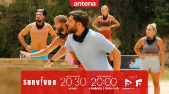 Survivor Rom&acirc;nia 2026. Gigi Nicolae, noi comentarii jignitoare la adresa lui Lucian! Echipa lui Aris conduce cu 8-1!