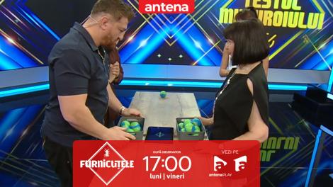 Furnicuțele 2026. Cătălin Moroșanu și mama lui, duel amuzant &icirc;ntr-un joc al vitezei și atenției