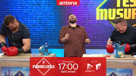 Furnicuțele 2026. Joc inedit pentru Cătălin Moroșanu și antrenorul său. Cine a desfăcut primul chipsurile și pateul!