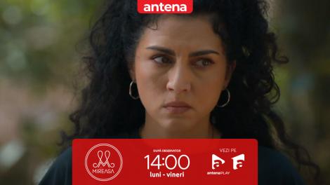 &rdquo;Va trebui să te rețin!&rdquo; Nu rata următorul episod &bdquo;Destine cu parfum de lavandă&rdquo;, de la 20:30, pe Antena 1 și &icirc;n AntenaPLAY