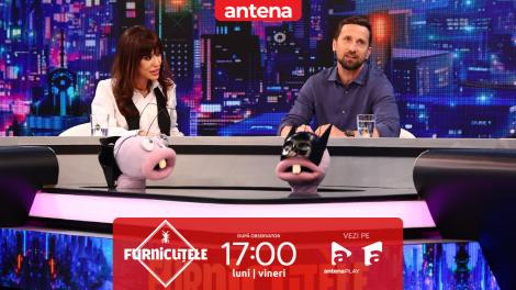 Furnicuțele 2026. Testul mușuroiului cu Dani Oțil! Ce a spus despre relația cu Mihaela Rădulescu