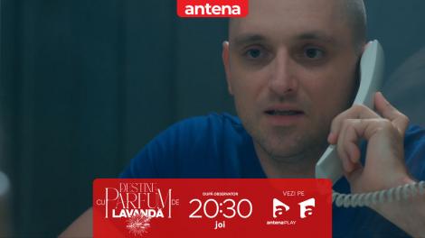Destine cu parfum de lavandă | Episodul 18. Teodora caută adevărul despre Dan la Albert. Zamfir intervine