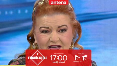 &bdquo;Astă seară vreau să beau!&rdquo;. Nu rata următorul episod Furnicuțele, de la 17:00, pe Antena 1 și &icirc;n AntenaPLAY