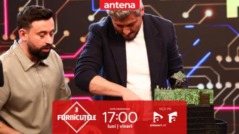 Furnicuțele 2026. R&acirc;sete și haos &icirc;n platou! Sorin P&acirc;rcălab &icirc;ncearcă să dezmembreze un televizor vechi
