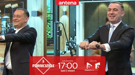 &bdquo;N-are cum să fie mai rău dec&acirc;t la Guvern&rdquo;. Nu rata următorul episod Furnicuțele, de la 17:00, pe Antena 1 și &icirc;n AntenaPLAY
