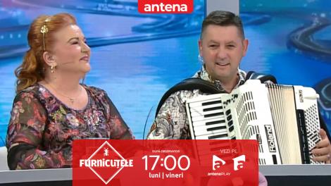 Furnicuțele 2026.  Show total cu Maria C&acirc;rneci! Dedicații de senzație pentru Scamă, Blană și Denise Rifai