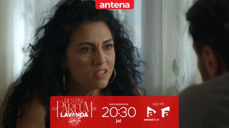 Destine cu parfum de lavandă | Episodul 20. Chanela &icirc;i cere explicații lui Vali pentru că nu l-a ucis pe Andrei