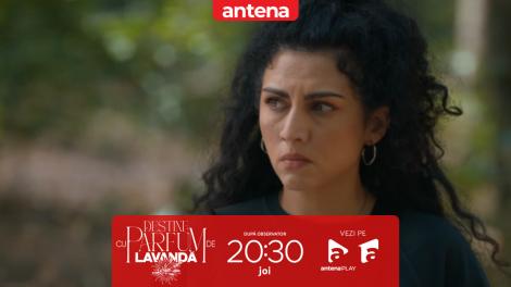 Nu rata ultimele episoade ale primei părți din "Destine cu parfum de lavandă", joi, de la 20:30, pe Antena 1 și &icirc;n AntenaPLAY